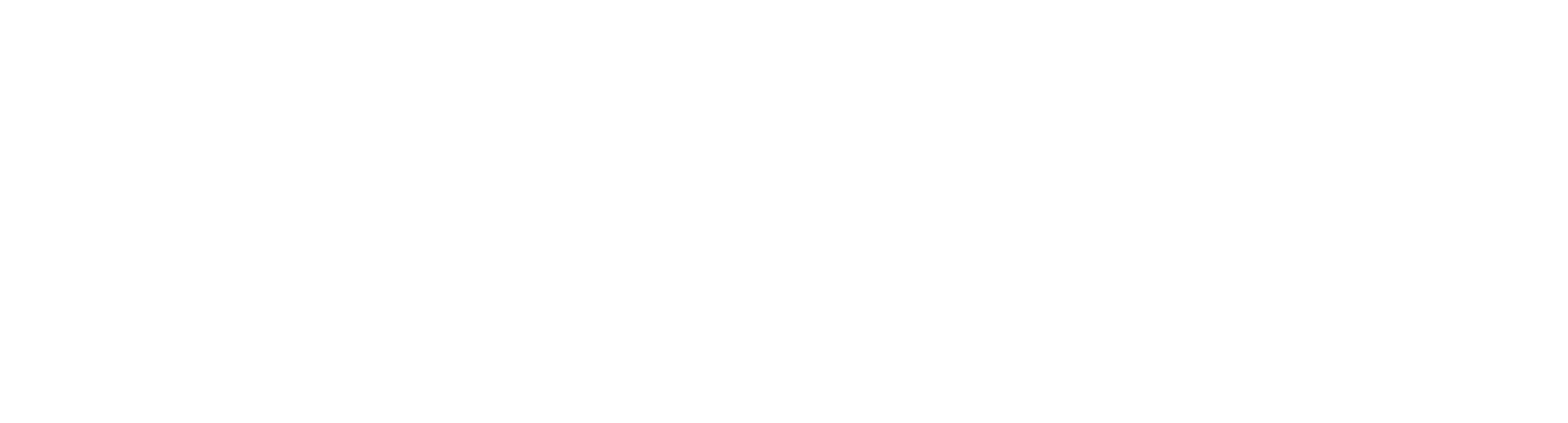 Logo Secundario